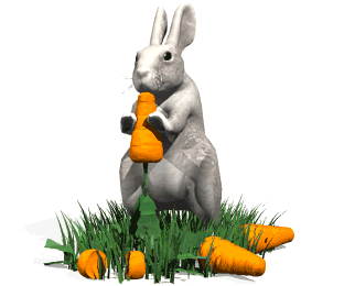  animasi  kelinci  bergerak goyang makan wortel gif nydia 
